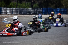 50914149_10217366646774106_3282671503224602624_n